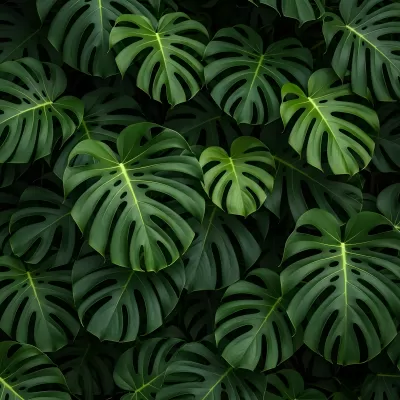 Imagen PNG para descargar